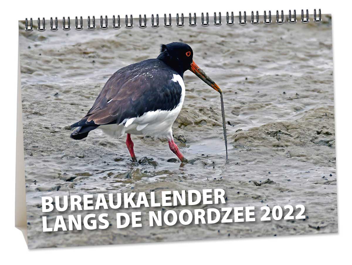 A5 Bureaukalender Langs de Noordzee 2022 A5 Bureaukalender Langs de Noordzee 2022